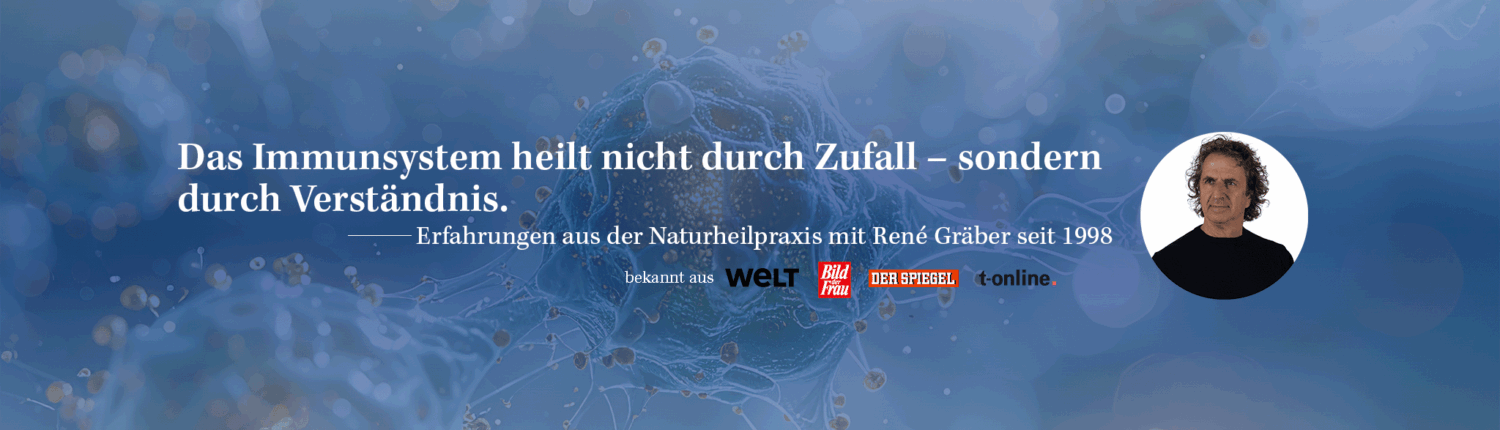 Bannergrafik_Immunendokrinologie